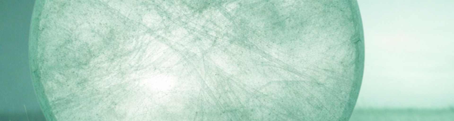 Sabine Muth die Business Schamanin